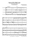 Mozart Queen of the Night's Aria Saxophone Quartet