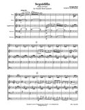Bizet Carmen Seguidilla Double Reed Quintet