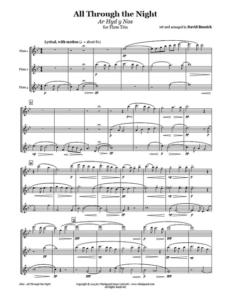 All Through The Night Flute Trio