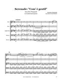 Donizetti Serenade Double Reed Quintet