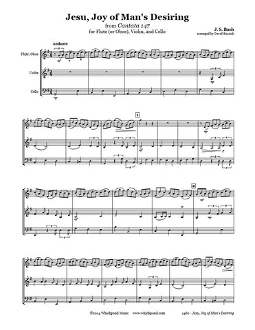 Bach Jesu Joy of Man's Desiring Flute(Oboe)/Violin/Cello Trio