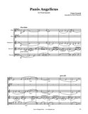 Franck Panis Angelicus Wind Quintet