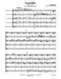 Bizet Carmen Seguidilla Saxophone Quintet