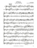 Sibelius 6 Pieces Flute Duet (C Flute/Alto Flute)