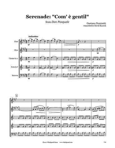 Donizetti Serenade Wind Quintet