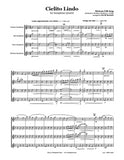 Cielito Lindo Saxophone Quartet