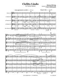 Cielito Lindo Clarinet Quintet