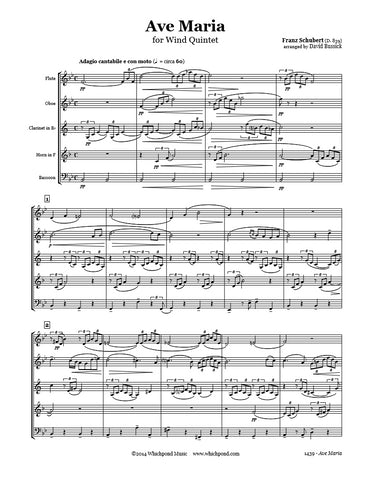 Schubert Ave Maria Wind Quintet