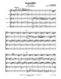 Bizet Carmen Seguidilla Wind Quintet