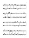 Vaughan Williams 4 Pieces Viola Duet