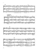 Chaminade Trio Album #1 Flute/Clarinet/Bassoon Trio