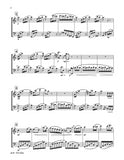 Beethoven Für Elise Flute/Bassoon Duet