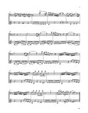 Mozart Sonata K. 292 Bass Clarinet/Bassoon Duet