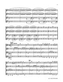 Carnival of the Animals Clarinet Quartet