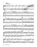 Carnival of the Animals Flute/Bassoon Duet