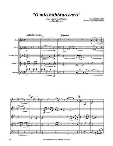 Puccini O Mio Babbino Caro Wind Quintet