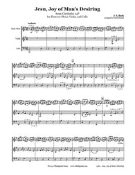 Bach Jesu Joy of Man's Desiring Flute(Oboe)/Violin/Cello Trio