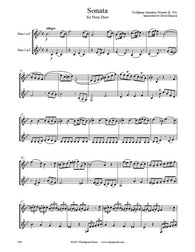 Mozart Sonata K. 292 Horn Duet
