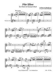 Beethoven Für Elise Flute/Clarinet Duet