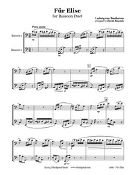 Beethoven Für Elise Bassoon Duet