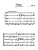 Bizet Carmen Habanera Flute Quintet