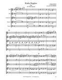 Gershwin Rialto Ripples Rag Wind Quintet
