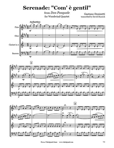 Donizetti Serenade Wind Quartet