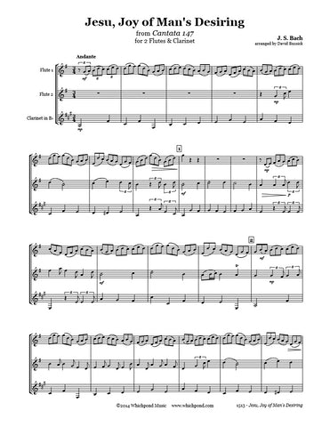 Bach Jesu Joy of Man's Desiring Flute/Clarinet Trio