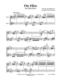 Beethoven Für Elise Flute Duet (2 C Flutes)