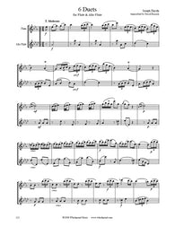 Haydn 6 Pieces Flute Duet (C Flute/Alto Flute)